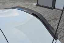 BMW Z4 E85 2002-2006 Vingextension V.1 Maxton Design
